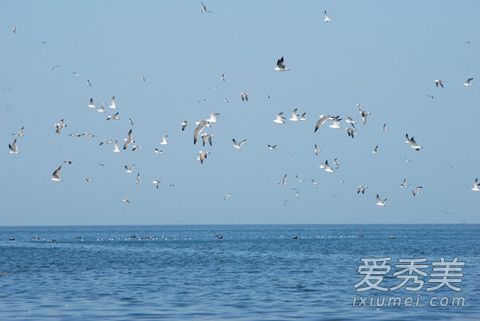 假如时光倒流我能做什么是什么歌 假如时光倒流我能做什么完整歌词