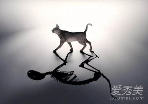 Ѧ̵èʲô Ѧ̵èʲô˼ͨ׽