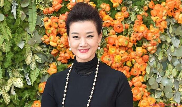 宋祖英陈道明关系曝光