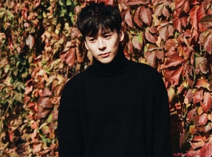 魏哲鸣王小岚的婚纱照真的假的