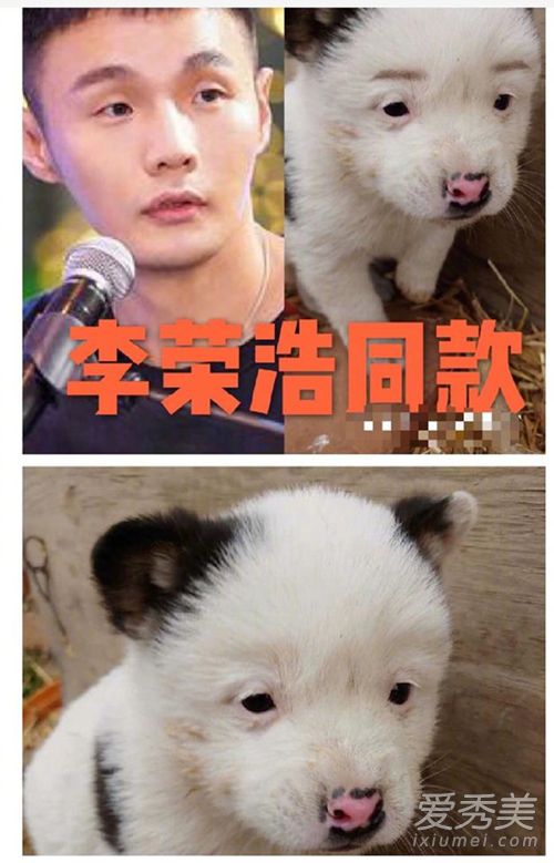 ٺͬ ⵽Ǹʲô