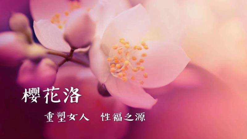 密博士M.Doctor樱花洛揭秘:为什么中国女性妇科疾病发病率居全球首位?